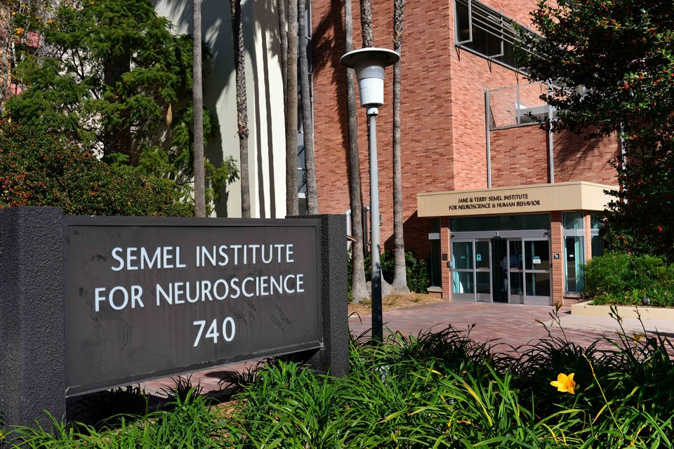 Semel Institute for Neuroscience 740